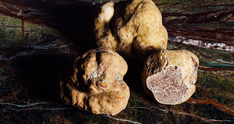 Les 5 choses à savoir sur la truffe