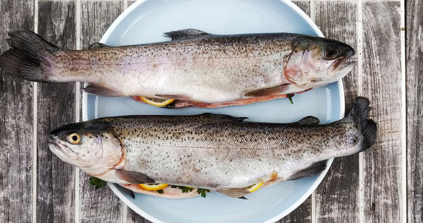La cuisson du poisson basse température