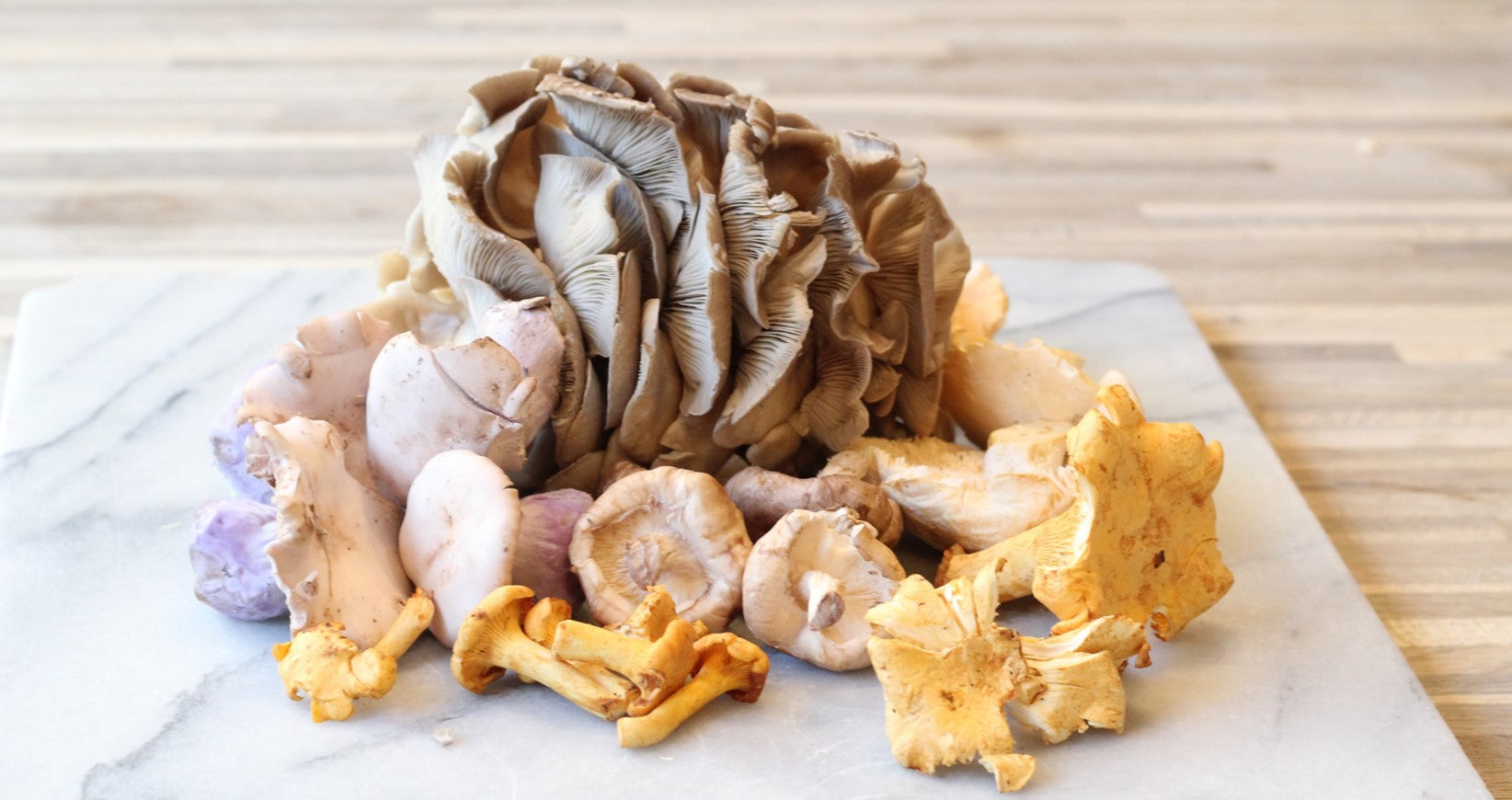 Les 10 champignons incontournables de l’automne