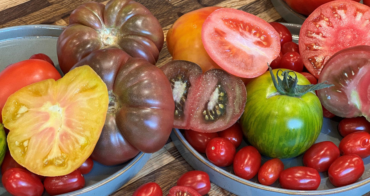 Quelle tomate pour quel usage ?