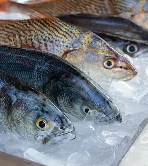 Cours de cuisine : 3 poissons, 3 cuissons - Lille
