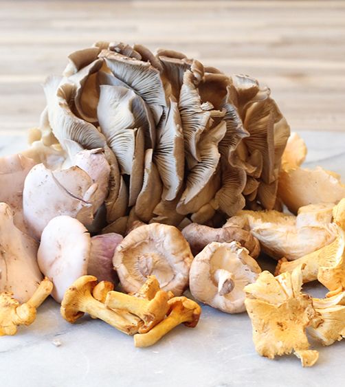 Cours de cuisine sur les champignons - Lille