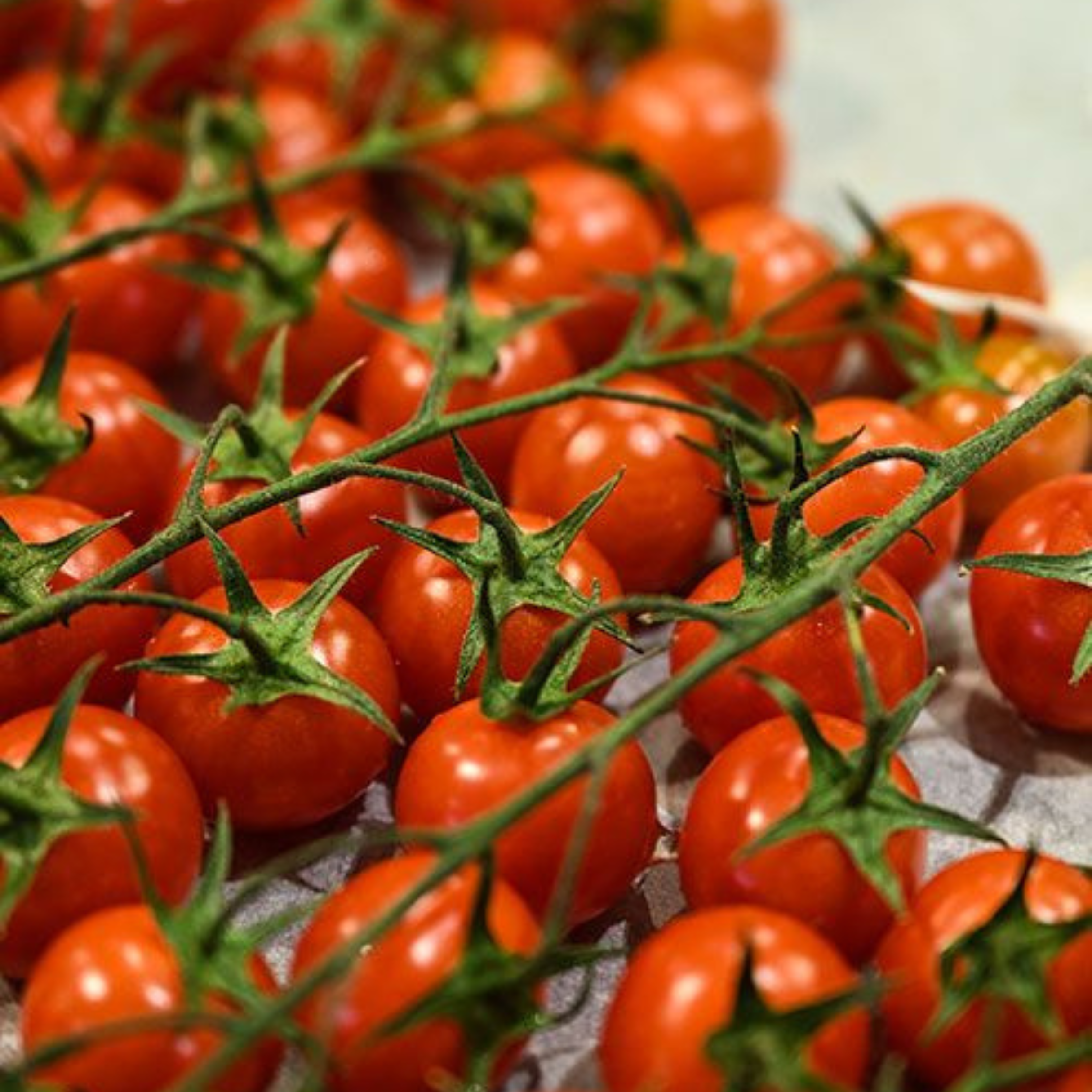 Cours de cuisine gastronomique à Lille