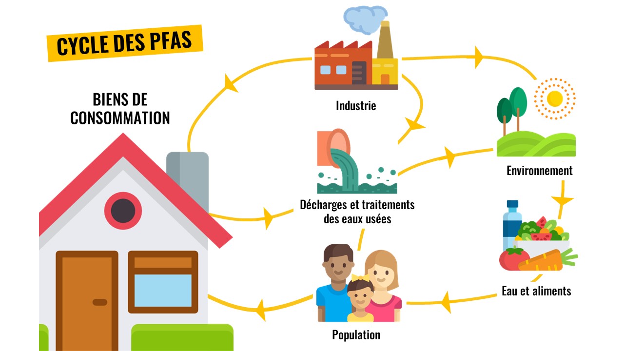 SCHEMA_PFAS_1